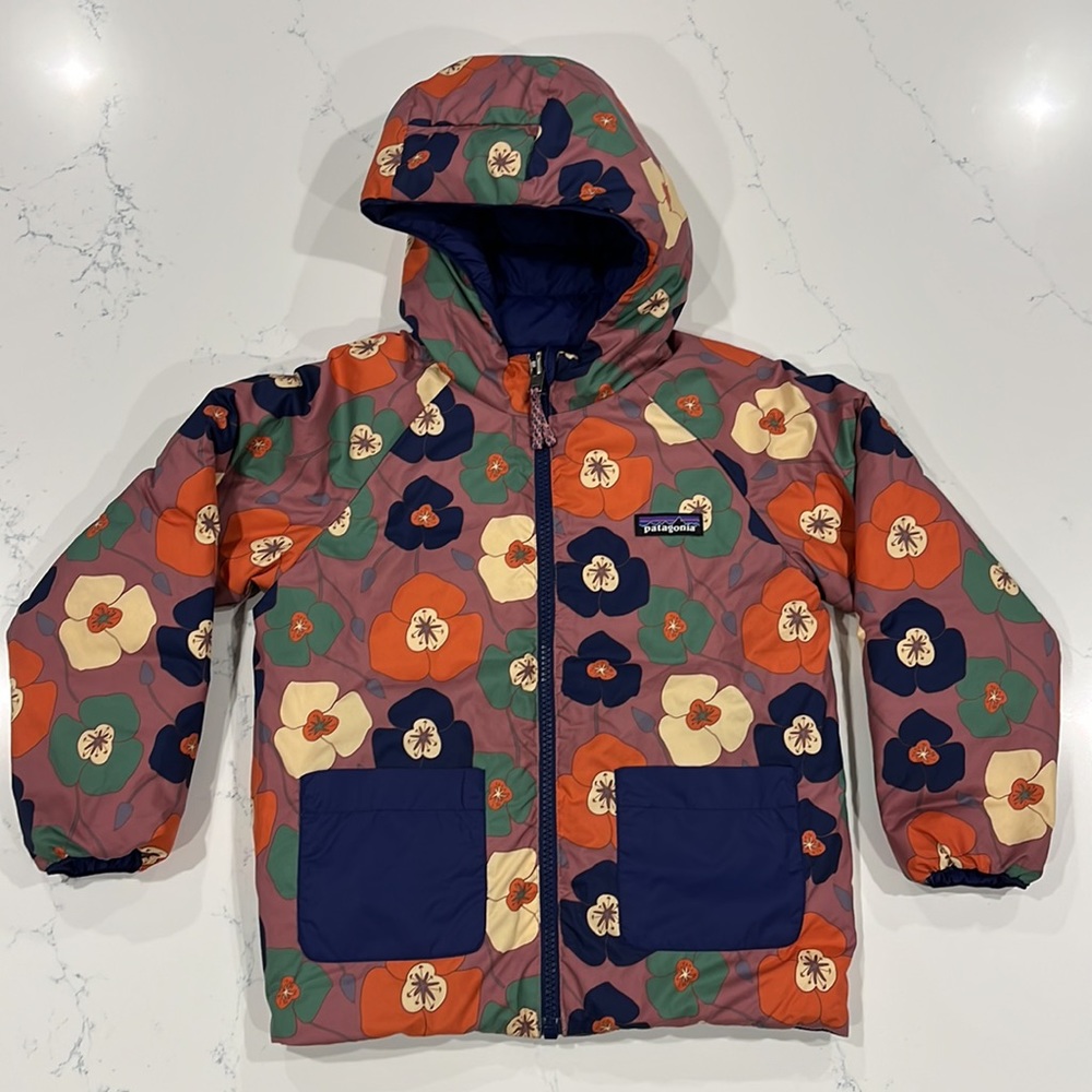 Patagonia Reversible Down Hoody Jacket